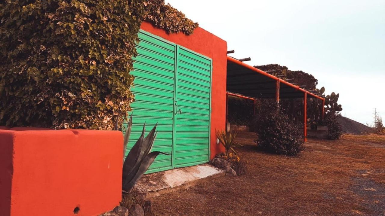 Tenuta Di Pontesodo Montalto di Castro Bagian luar foto