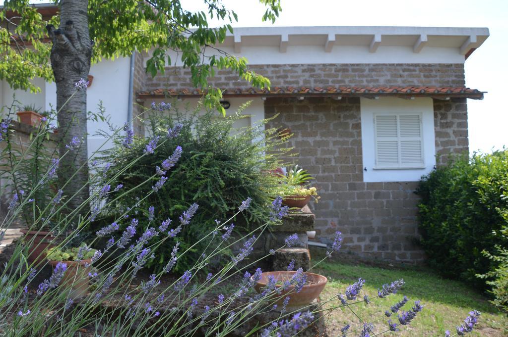 Tenuta Di Pontesodo Montalto di Castro Bagian luar foto