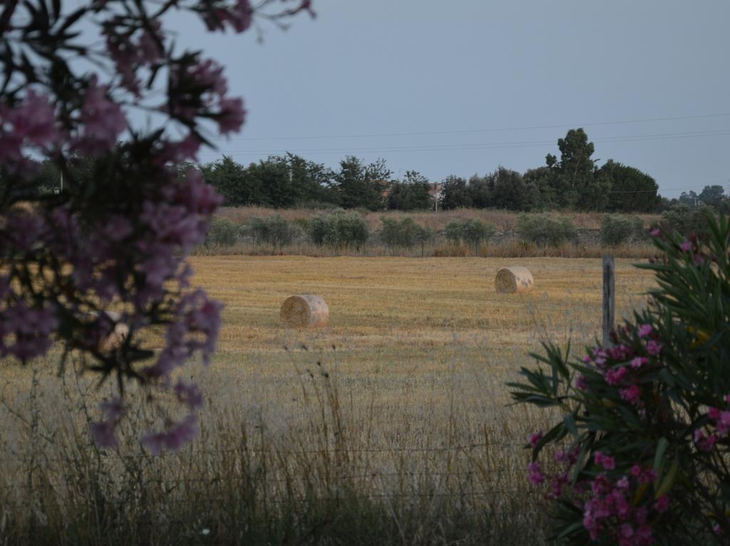 Tenuta Di Pontesodo Montalto di Castro Bagian luar foto