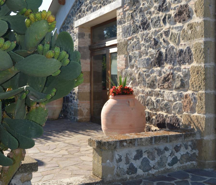 Tenuta Di Pontesodo Montalto di Castro Bagian luar foto