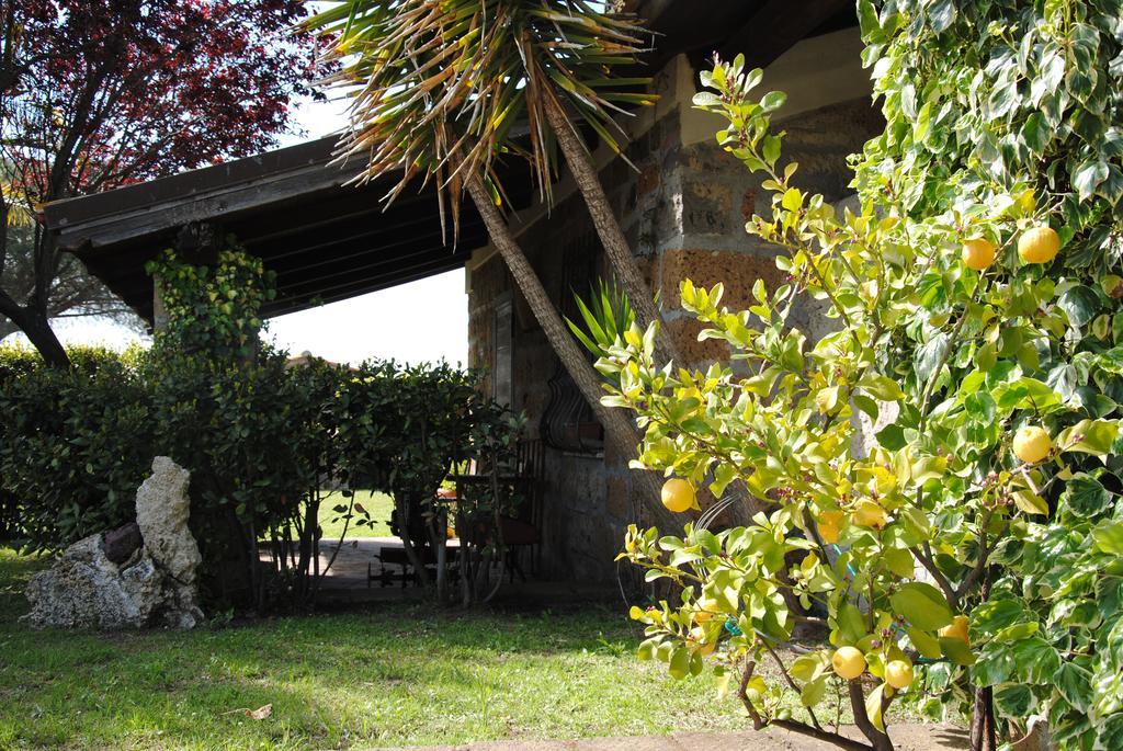 Tenuta Di Pontesodo Montalto di Castro Bagian luar foto