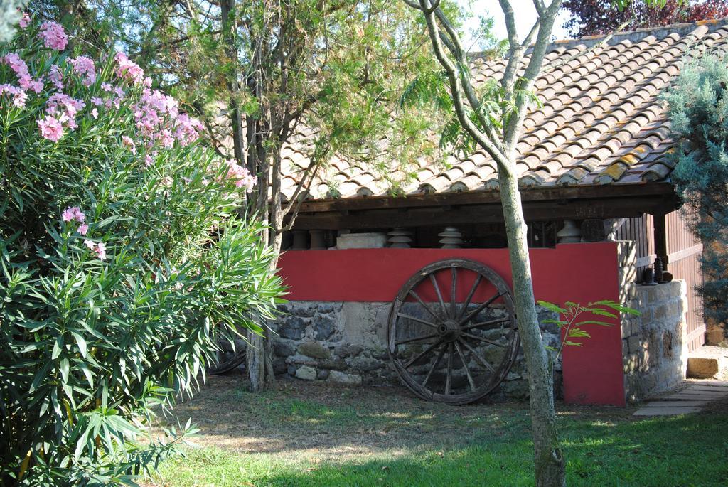 Tenuta Di Pontesodo Montalto di Castro Bagian luar foto